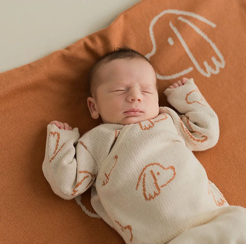 Pure Puppy Love - Organic Spanish Knitted Baby 3-Piece Outfit + Keepsake Bag